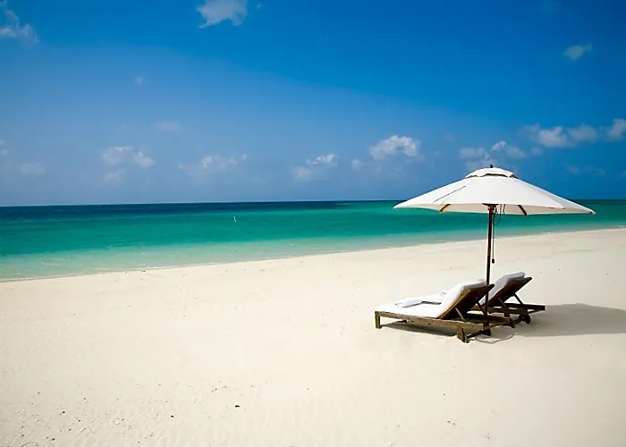 Como Parrot Cay